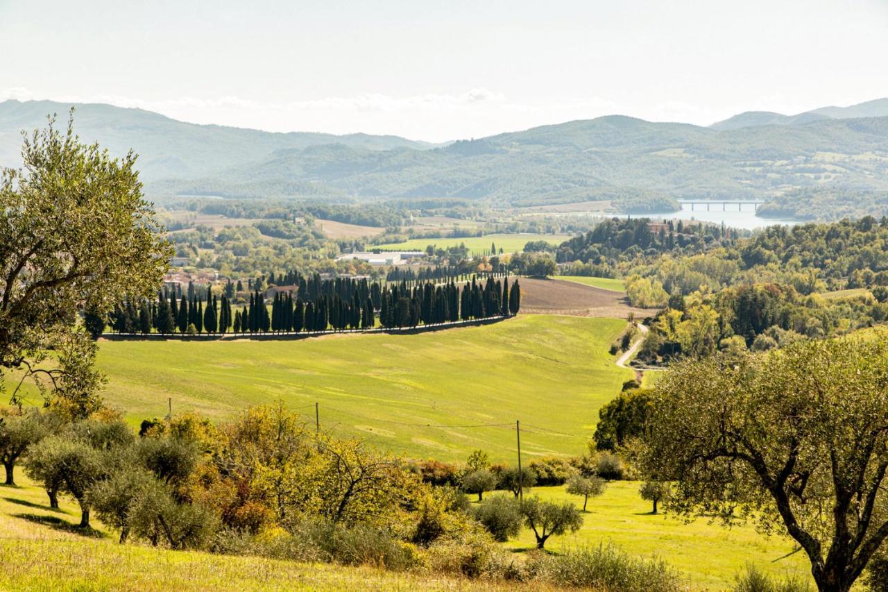 Апартаменты Borghetto Il Poggiolo Mugello - Affitti Brevi Italia Скарперия Экстерьер фото