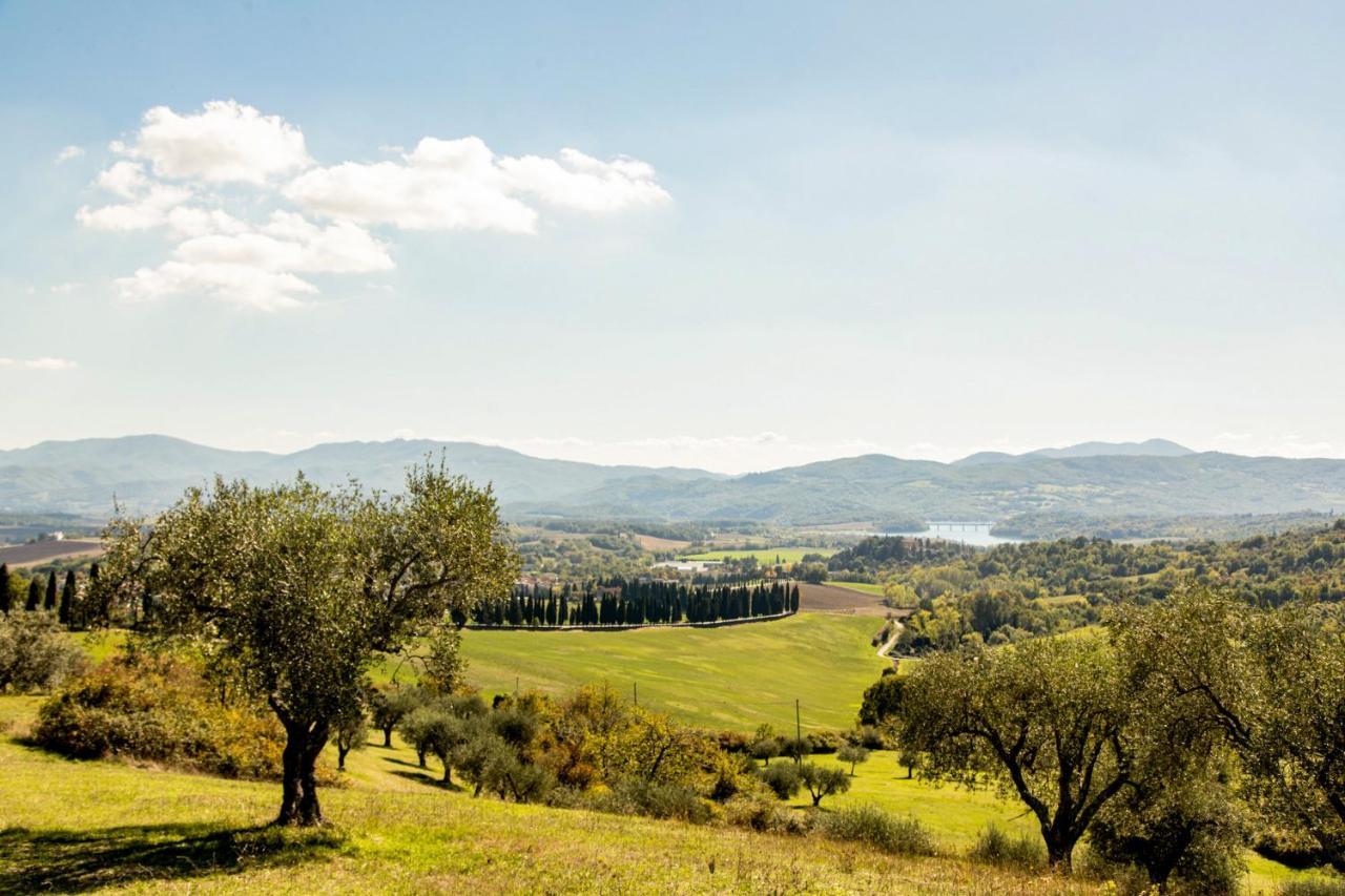 Апартаменты Borghetto Il Poggiolo Mugello - Affitti Brevi Italia Скарперия Экстерьер фото